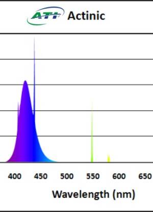 ATI Actinic t5 54W 