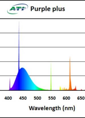 ATI Purple Plus t5 24W 