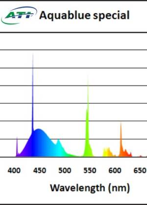 ATI Aquablue Special  t5 24W 